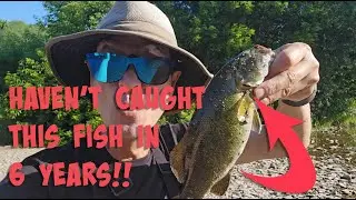 Catching smallmouth bass for first time in years - fishing in Mississauga Ontario Canada