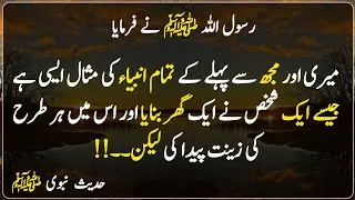 My example and that of all the prophets before me is like that of | Hadith | Hadees Sharif In Urdu 