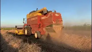 #NEWHOLLAND #LAVERDA #L520 HARVESTER 2020 EXPERİA BUGDAY Bİ&Ccedil;İMİ VE  ASALATİ...