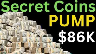 Secret Coin PUMP 86K Profit 🤣 Aurigami API3 INK hiPENGUINS Ribbon  Polytrade UMA INTERLAY #xrp #btc