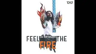 Lee-Ron Malgas - Feel The Fire