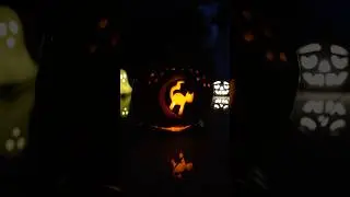 How To Carve A Cat Halloween Pumpkin 6/6 #halloween #cats #pumpkincarving #pumpkin