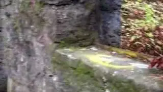 Witches Castle In Portland Oregon - HAUNTED :: GHOSTS :: PARANORMAL ACTIVITY