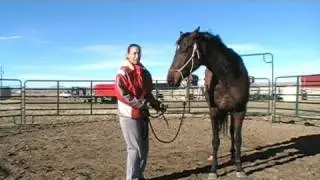 Respect Training 4 of 5