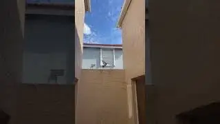 How to get rid of pigeons!
