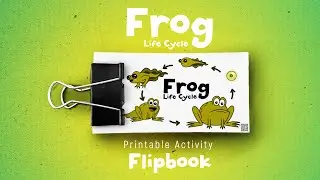 Instruction: Create Frog Life Cycle Animated Flipbook | Printable Activity