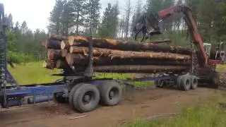 gns logging...kid loading me :)