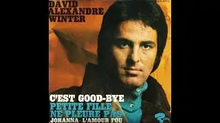 David-Alexandre Winter - L'amour fou      (You're Such a Good Looking Woman)