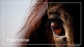 Dein Traum vom eigenen Pferd | Fantasiereise | Schlaf | Erwachsene & Kinder | Folge 1: Ponyliebe
