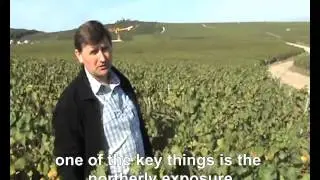 Grower Champagne - David Péhu explains why champagnes from Verzenay are so much in demand