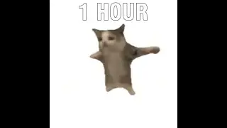 [1 HOUR] The Cat Dance (*&acute;&nabla;`)ﾉ