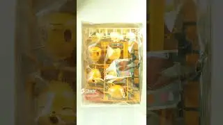 Ransmo5's Pokemon (Pokepla) Model Kit Collection | #ransmo5 #pokemon #bandai #modelkit