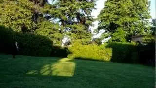 First flight with mp32f4 raw video windy day
