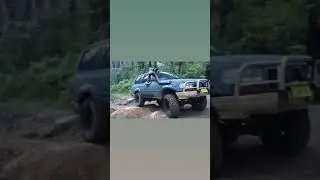 80 doing monkey gum