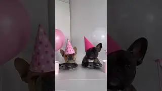 Cake cutting #fails #birthday #party