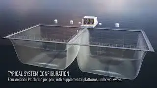 Aquaculture- Aquatic Eco System
