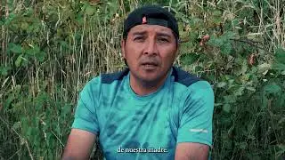 ¿Donde está Julia Chuñil?
