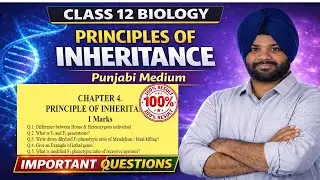 Class 12 principle of inheritance | Important questions| PSEB exam  PYQ| 2026