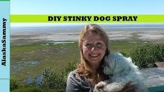 DIY Stinky Dog Spray