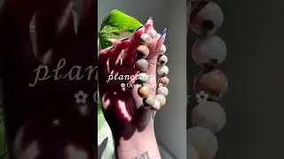 ocen Jasper beads Bracelet #viral #shorts