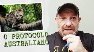 protocolo australiano 1