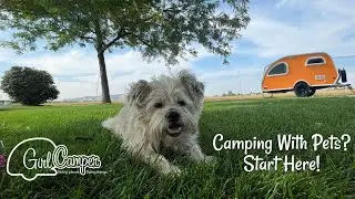 Camping with Pets: Gear, Safety & Tips from Girl Camper&rsquo;s Pet Expert 🐾