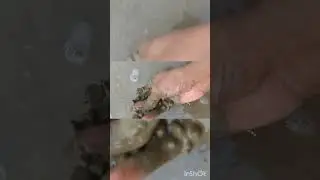 How to make clay at home from nature soil 😁