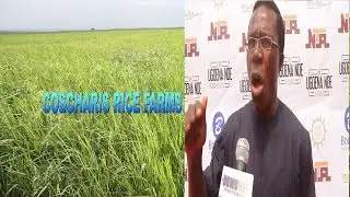 THE STORY OF COSCHARIS FARMS.......MY CHALLENGES........MR COSMAS MADUKA
