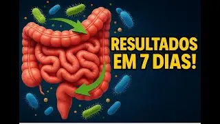Estudo: Cogumelo Juba de Leão e Microbiota Intestinal