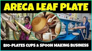 Areca Leaf Plate Making Business | Biodegradable Plates and Cups Manufacturing Business
