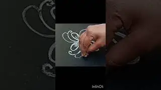Side boarder designs 🥰#shortvideo #rangoli #muggulu