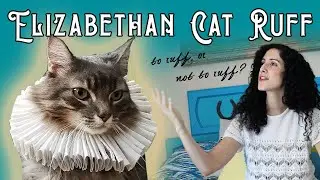 How to Make an Elizabethan Ruff (for your Cat!) | Easy Jacobean&mdash;Tudor&mdash;Shakespearian Ruff for Pets