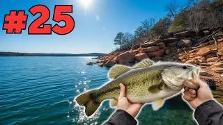 January Small Swimbait Swim: Why Tiny Paddles Are Swimming to Giants Right Now