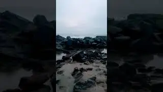 Beauty of the stone beach 🏖