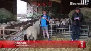 WM-Tierorakel: Deutschland - USA