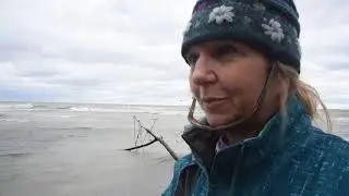 Lake Erie Steelhead A Rainbow of Beauty | Great Lakes Now