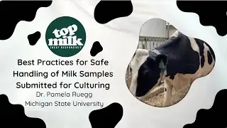 Best Practices for Safe Handling of Milk Samples Submitted for Culturing