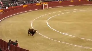 PLAZA DE TOROS DE VALENCIA 