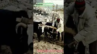Primitive Agriculture technology in Europe😱 #shorts