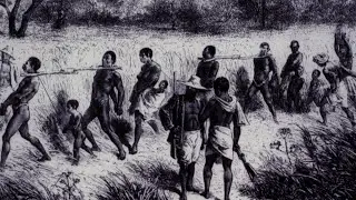 A Legacy of Injustice: How Slavery Helped Shape the Modern United States