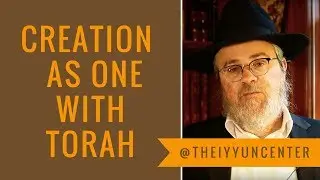 Rav Pinson. Chukim vs. Mishpatim: Suprarational & Rational Mitzvos. Creation an Imprint of Torah