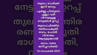 തുലാം (ചിത്തിര രണ്ടാംപകുതി, ചോതി, വിശാഖം ആദ്യമുക്കാൽഭാഗം), Today&rsquo;s Horoscope, 14-November-2025