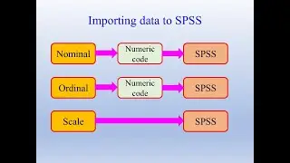 Биостатистика, 8 класс, часть 3: Импорт данных из Excel в SPSS.