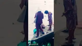 Thả C&aacute; Ph&oacute;ng Sanh ở ch&ugrave;a Li&ecirc;n Hoa.