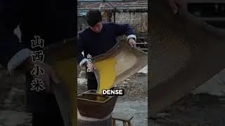 Как он испек хлеб из семян лисохвостого проса #топ #знаете_что_вы #интересно #земля