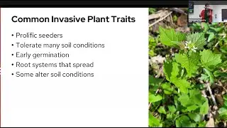 Invasive plants identification and control