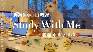 3 Hour STUDY WITH ME & MY DOG | Pomodoro Timer 50/10 | Background noise