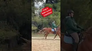 How To Canter With NO Stirrups!! #canter #horse