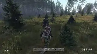 DayZ