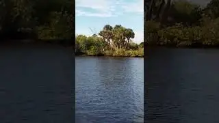 Seabird Island Port Orange, FL
